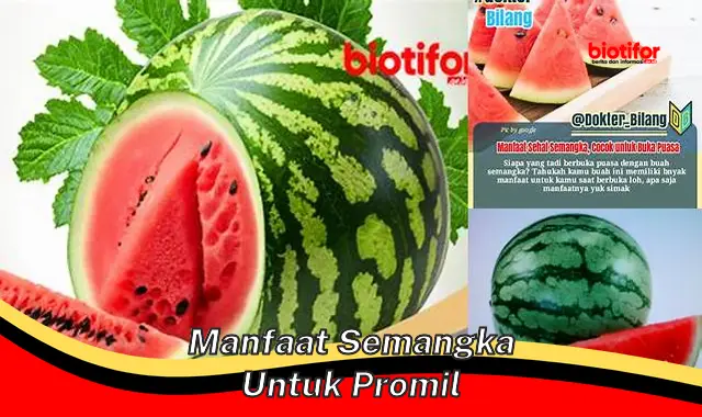 manfaat semangka untuk promil