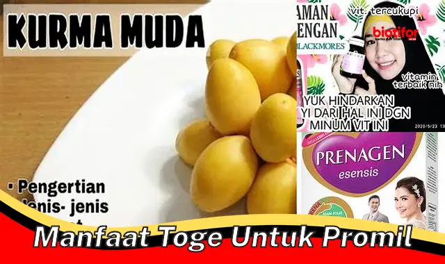 manfaat toge untuk promil