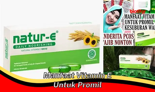 Manfaat Vitamin E untuk Program Hamil (Promil): Temuan dan Wawasan Jarang Diketahui