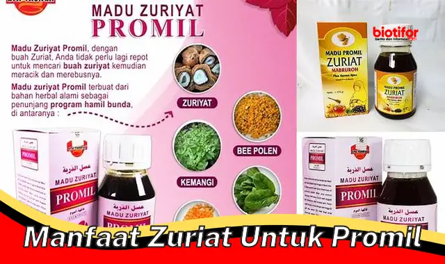 manfaat zuriat untuk promil