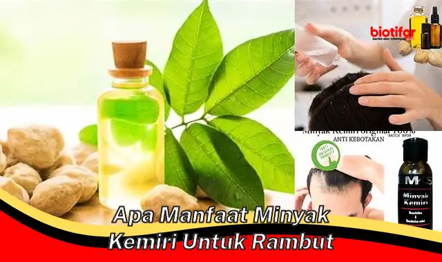 apa manfaat minyak kemiri untuk rambut