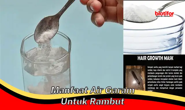 manfaat air garam untuk rambut