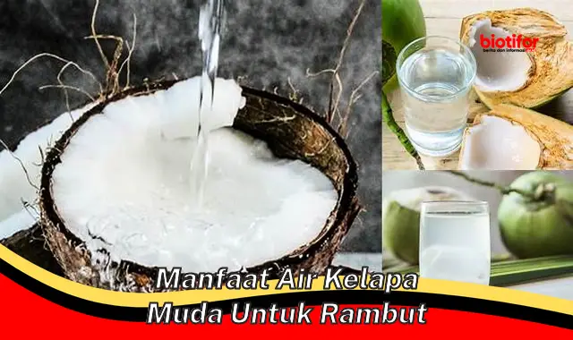 manfaat air kelapa muda untuk rambut