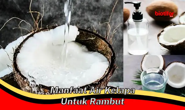 manfaat air kelapa untuk rambut