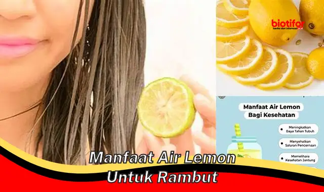 manfaat air lemon untuk rambut