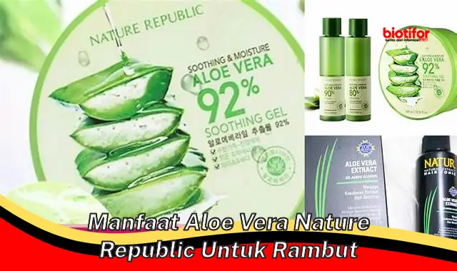 manfaat aloe vera nature republic untuk rambut