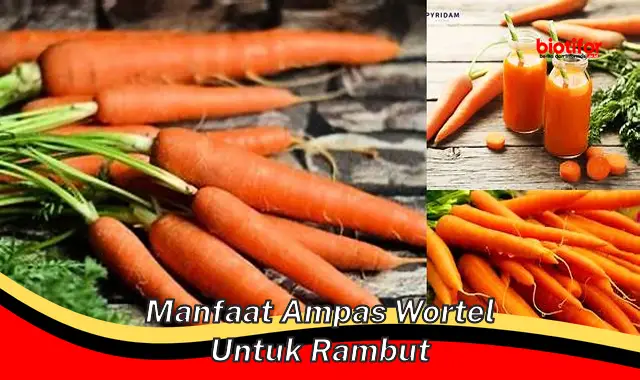 manfaat ampas wortel untuk rambut