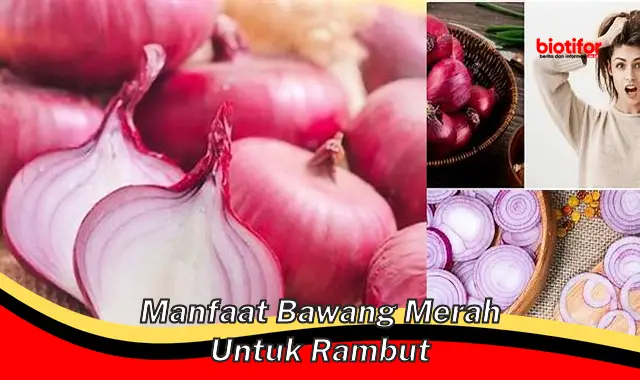 manfaat bawang merah untuk rambut