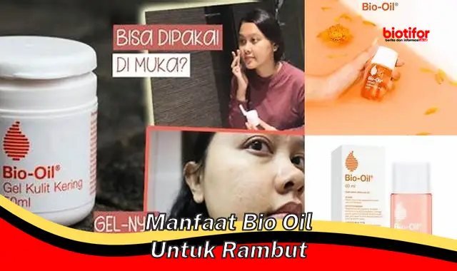 Temukan 5 Manfaat Bio Oil untuk Rambut yang Belum Banyak Diketahui