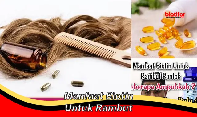 manfaat biotin untuk rambut