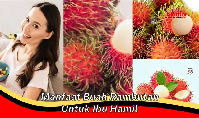 manfaat buah rambutan untuk ibu hamil