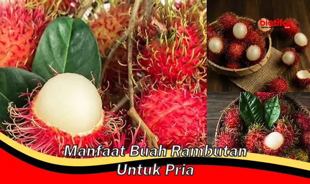 manfaat buah rambutan untuk pria