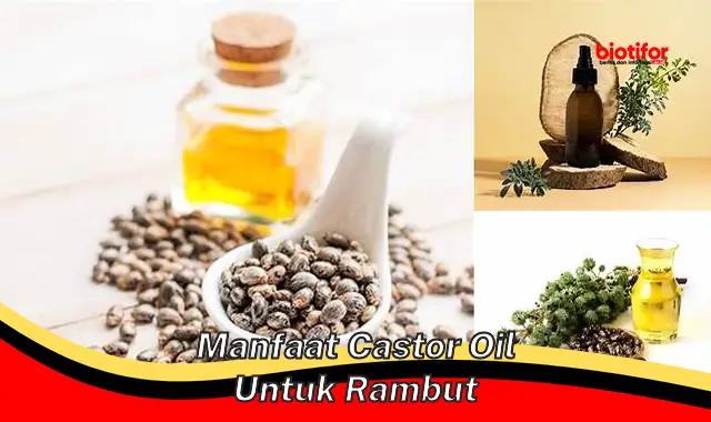 Temukan 5 Manfaat Castor Oil untuk Rambut yang Jarang Diketahui