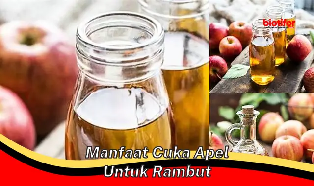 manfaat cuka apel untuk rambut