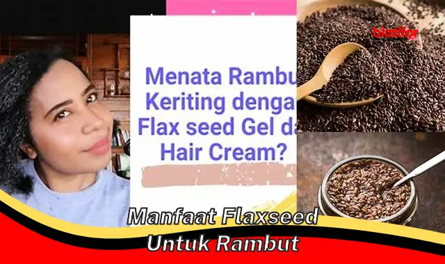 manfaat flaxseed untuk rambut