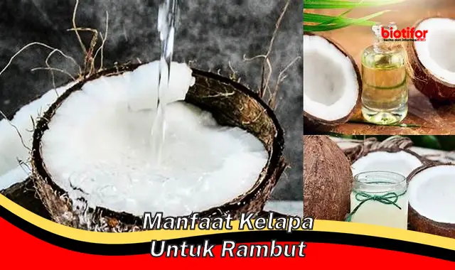 manfaat kelapa untuk rambut