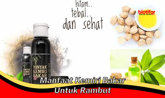 manfaat kemiri bakar untuk rambut