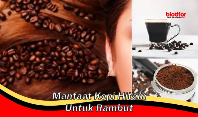 manfaat kopi hitam untuk rambut