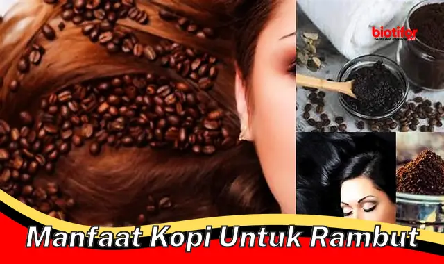 manfaat kopi untuk rambut