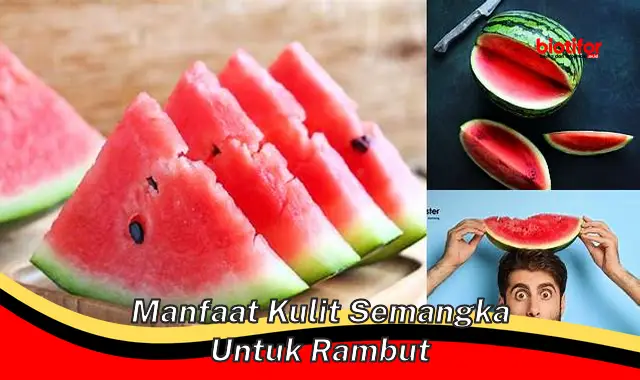 manfaat kulit semangka untuk rambut