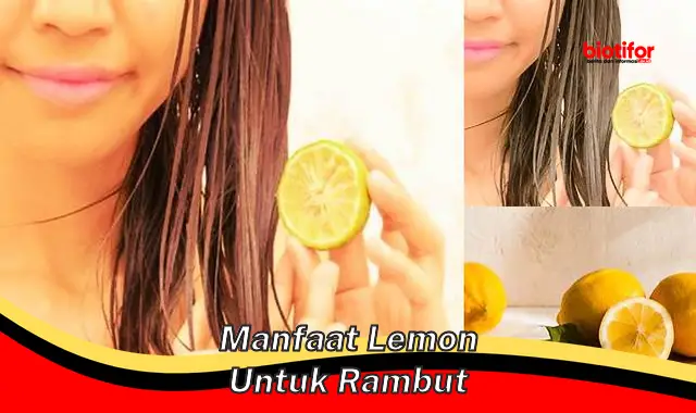 manfaat lemon untuk rambut