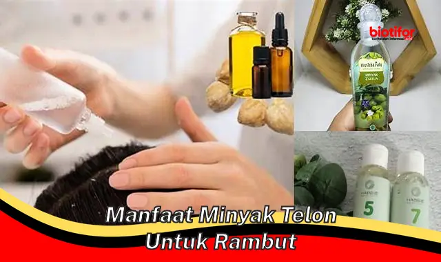 Temukan Khasiat Minyak Telon untuk Rambut yang Jarang Diketahui