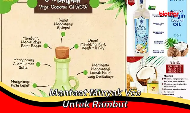 manfaat minyak vco untuk rambut