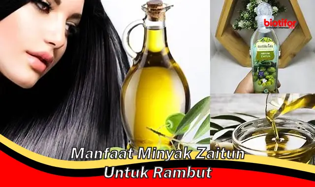 manfaat minyak zaitun untuk rambut