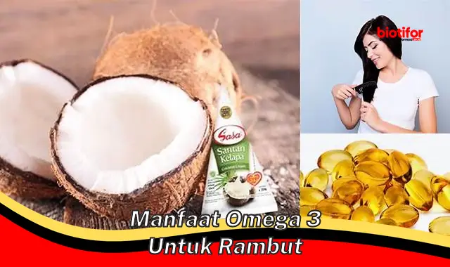 manfaat omega 3 untuk rambut