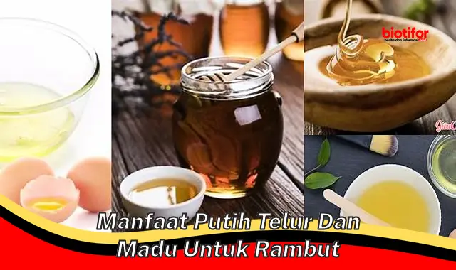 manfaat putih telur dan madu untuk rambut