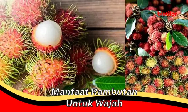 Temukan Manfaat Rambutan untuk Wajah yang Jarang Diketahui