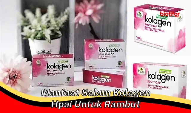 manfaat sabun kolagen hpai untuk rambut