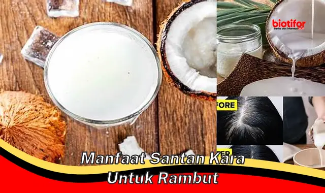 manfaat santan kara untuk rambut