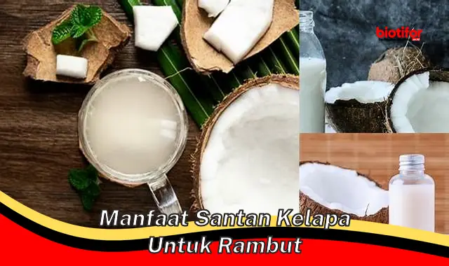 manfaat santan kelapa untuk rambut