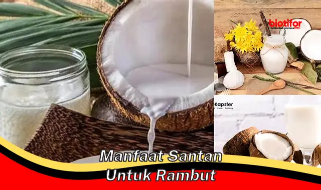 manfaat santan untuk rambut