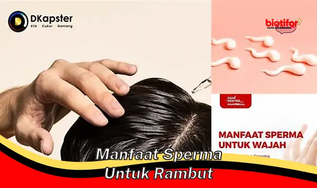 manfaat sperma untuk rambut