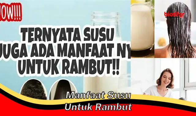 manfaat susu untuk rambut