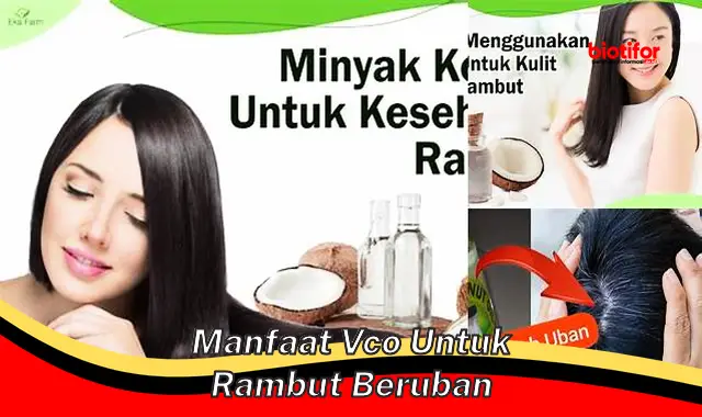 manfaat vco untuk rambut beruban