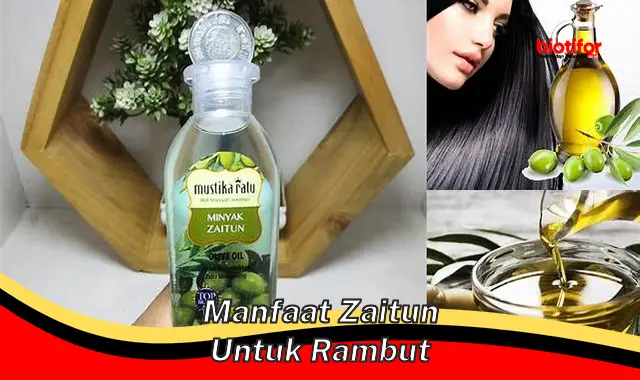 manfaat zaitun untuk rambut