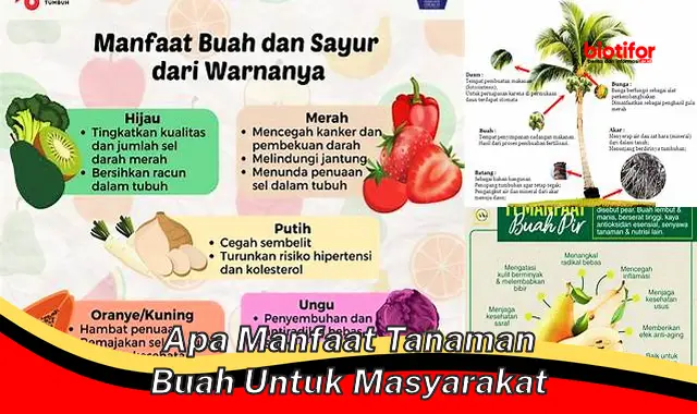 apa manfaat tanaman buah untuk masyarakat