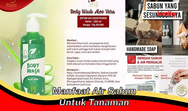 manfaat air sabun untuk tanaman