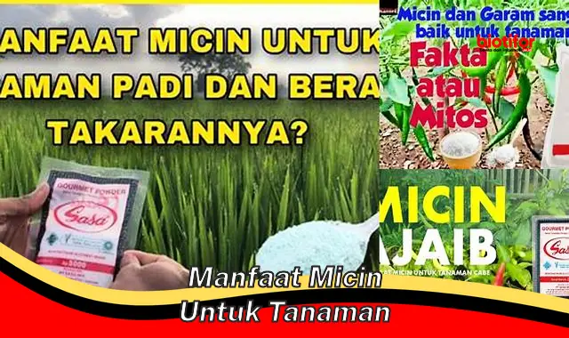 manfaat micin untuk tanaman