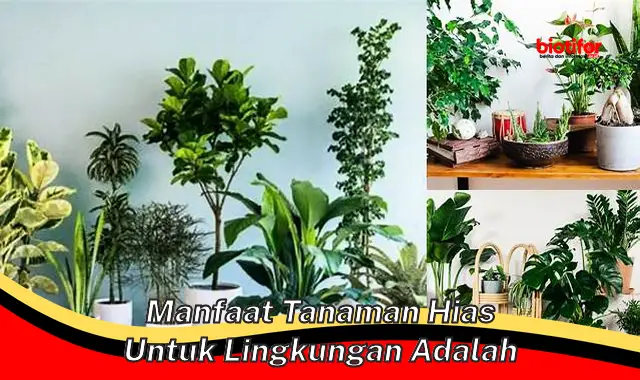 manfaat tanaman hias untuk lingkungan adalah