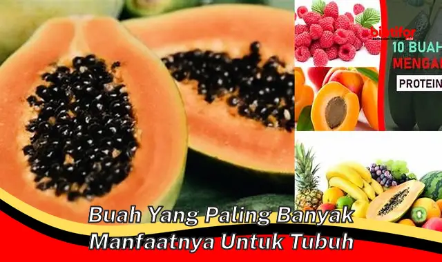 buah yang paling banyak manfaatnya untuk tubuh