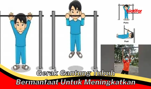 gerak gantung tubuh bermanfaat untuk meningkatkan