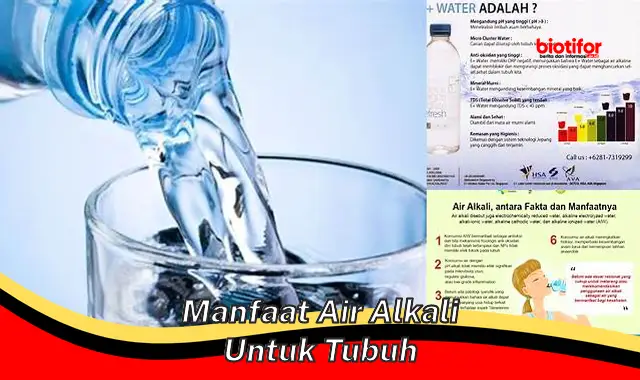 manfaat air alkali untuk tubuh