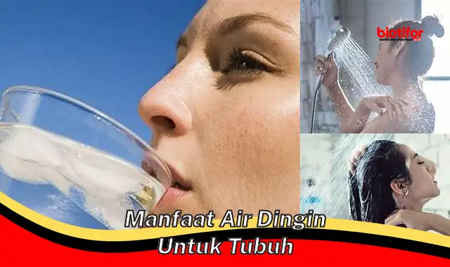 manfaat air dingin untuk tubuh