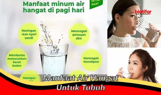 manfaat air hangat untuk tubuh