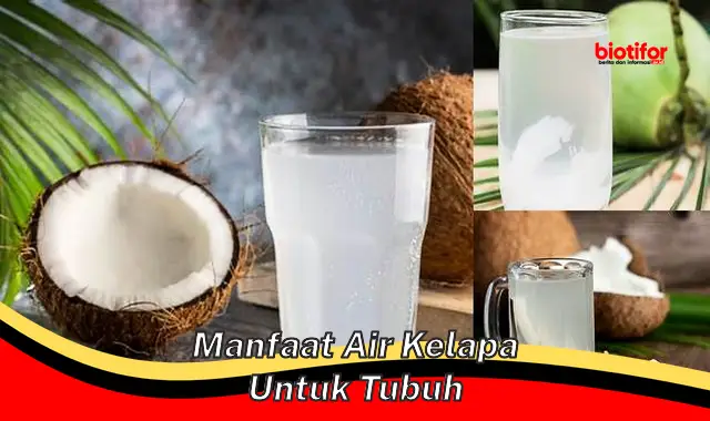 manfaat air kelapa untuk tubuh