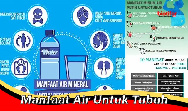 manfaat air untuk tubuh